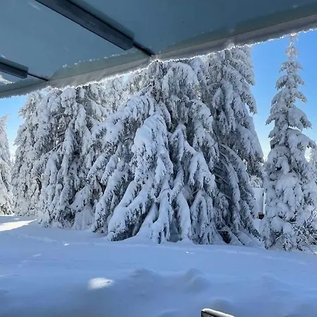 Apartma Tisa Apartment *