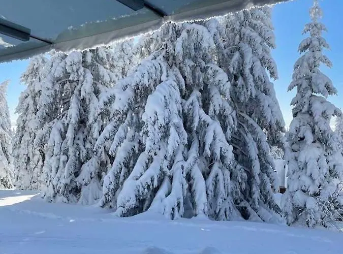 Apartma Tisa Appartement *